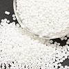 15/0 Glass Seed Beads SEED-J014-F15-41-1