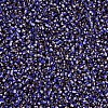 12/0 Glass Seed Beads SEED-S005-32-3