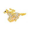 Zinc Alloy Crystal Rhinestone Brooch JEWB-U010-04G-06-1