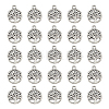 Tibetan Style Alloy Pendants FIND-DC0006-12A-1