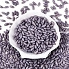 Opaque Colours Glass Seed Beads SEED-T007-16D-1