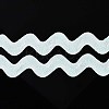 10 Yard Metallic Polyester Wavy Fringe Trim Ribbon SRIB-GF0001-38U-1