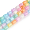 Rainbow Color Natural Selenite Beads Strands G-F750-M02-02-1