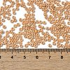 Baking Paint Glass Seed Beads SEED-P006-03A-24-4