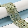 Natural Prehnite Beads Strands G-S333-6mm-032-6
