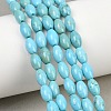 Natural Magnesite Beads Strands G-Z143-B01-01-1