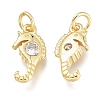 Brass Micro Pave Clear Cubic Zirconia Charms X-KK-M206-36G-2