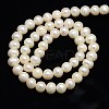 Natural Cultured Freshwater Pearl Beads Strands X-PEAR-L001-F-07-3