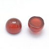 Natural Carnelian Cabochons G-P393-R03-8MM-2