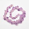 Natural Amethyst Bead Strands G-P267-07-1