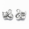 Tibetan Style Alloy Charms TIBEP-N009-064AS-RS-2