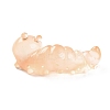 Luminous Resin Worm Ornament DJEW-R011-01A-05-2