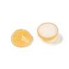 Translucent Epoxy Resin Glitter Powder Decoden Cabochons CRES-S367-13B-02-2