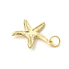 Brass Pendants PALLOY-JF01771-5
