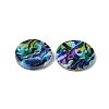 2-Hole Freshwater Shell Buttons SHEL-A004-01D-2
