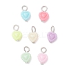 Opaque Acrylic Pendants PALLOY-JF04351-01-1