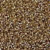 MIYUKI Delica Beads SEED-J020-DB2155-3