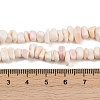 Natural Pink Shell Beads Strands X-SSHEL-L016-19-5