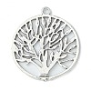 Tibetan Style Zinc Alloy Pendants LS-TIBEP-EA11591YKG-AS-LF-2