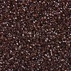 MIYUKI Delica Beads X-SEED-J020-DB1891-3