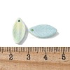 Natural Rainbow Alashan Agate Pendants G-G194-03D-3