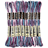10 Skeins 6-Ply Polyester Embroidery Floss OCOR-CY0002-99C-1