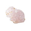 Tiger Resin Figurines Home Decor PW-WG61FA3-03-1