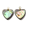 Natural Abalone Shell Pendants SH-CJC0AC7-01F-G-1