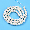 Natural Cultured Freshwater Pearl Beads Strands PEAR-N012-05X-3