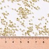 Cylinder Seed Beads X-SEED-H001-D06-2