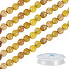 DIY Natural Regalite/Imperial Jasper/Sea Sediment Jasper Beads Bracelets  Making KIts DIY-TA0002-69E-3