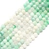 Natural Emerald Beads Strands G-G106-C09-03-1