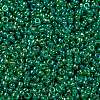 MIYUKI Round Rocailles Beads SEED-X0056-RR0354-3