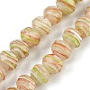 Handmade Lampwork Beads Strands LAMP-T007-13J-1