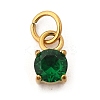 304 Stainless Steel Micro Pave Cubic Zirconia Pendants STAS-R167-01A-G-1