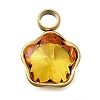 304 Stainless Steel Pendants STAS-Q346-02G-07-1