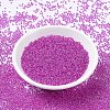 MIYUKI Round Rocailles Beads SEED-X0054-RR0209-2