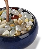 Natural Lapis Lazuli Chips Tree Decorations DJEW-M012-02A-2