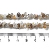 Natural Supper 7 Rutilated Quartz Chip Beaded Necklaces for Men Women NJEW-G159-01V-5