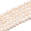 Natural Cultured Freshwater Pearl Beads Strands X-PEAR-N013-04F-2