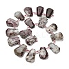 Natural Plum Blossom Tourmaline Beads Strands G-H078-A01-02-2