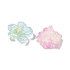 Transparent Resin Cabochons RE-CBA1274-02-2