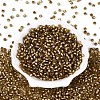Silver Lined Glass Seed Beads SEED-T007-18A-11-2