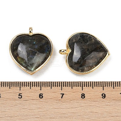 Natural & Synthetic Mixed Gemstone Pendants G-K347-10G-1