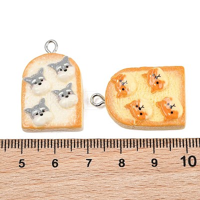 Opaque Resin Imitation Food Pendants RE-CBA0E2-03-1