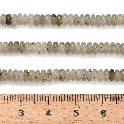 Natural Labradorite Beads Strands G-Z110-B11-2x4mm-1