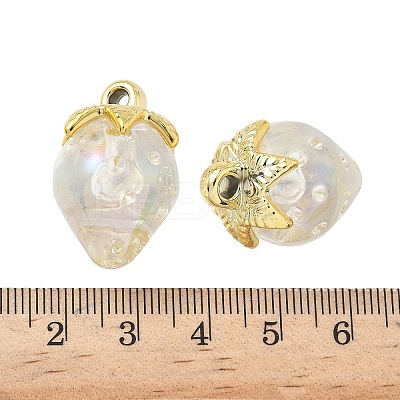 Transparent Acrylic Pendants LS-OACR-I021-02C-1