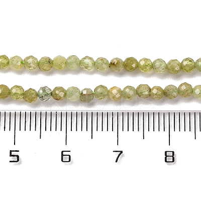 Natural Green Garnet Beads Strands G-A235-A02-02-1