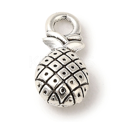 Tibetan Style Alloy Charms TIBEP-L021-53AS-1