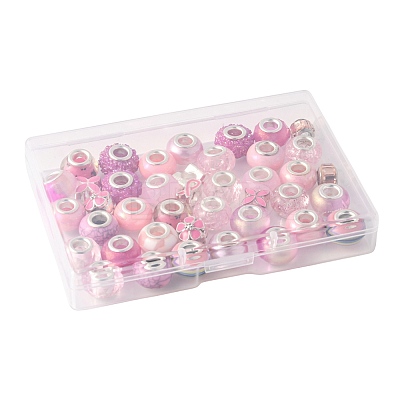 40Pcs 20 Styles Resin & Glass European Beads RPDL-FS0001-04-1